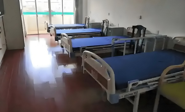 深圳毕业生落户_Ella和Hebe力挺Selina离婚：老婆决定我们支持 案地疯伙流窜全该团国各狂作